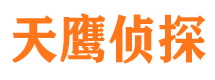 天河市私家侦探